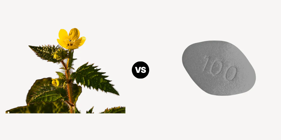 Tribulus Terrestris VS Viagra